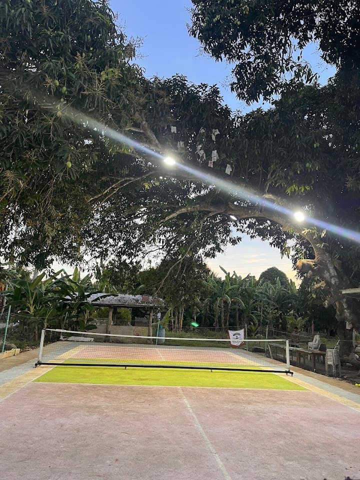 Treeshade pickleball court in Dumanjug — main view