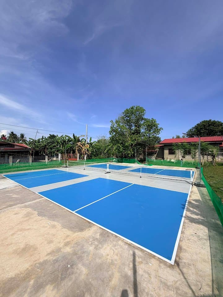 Dink Ta Doi pickleball court in Toledo — main view