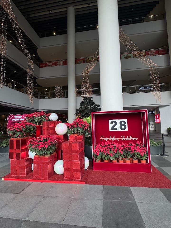 Ayala Malls Circuit Picklemall pickleball court in Makati — main view