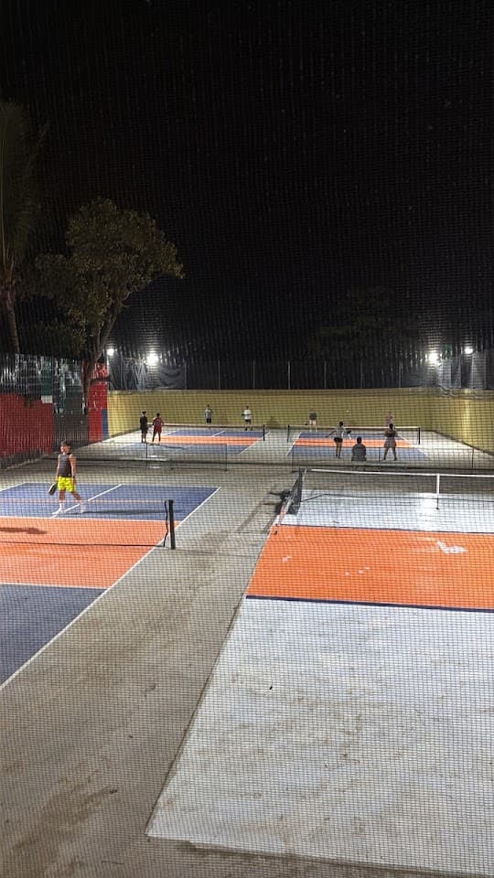 Big Dinks pickleball court at Sampaguita Street, Purok 1, Barangay Baliok, Davao City | PickleBoard