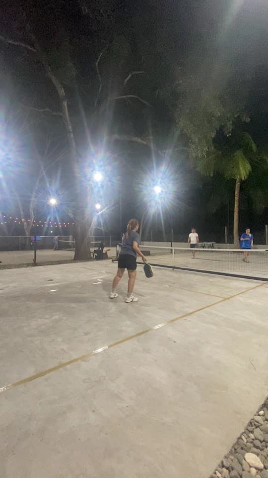 Mango Dink pickleball court at 6 purok West, Sibulan, Negros Oriental | PickleBoard