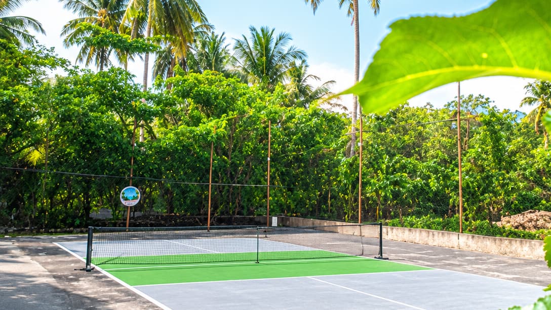 Pickleball Land pickleball court at Barangay Cebuano Rd, Mambusong 1, Tupi, 9505 South Cotabato | PickleBoard