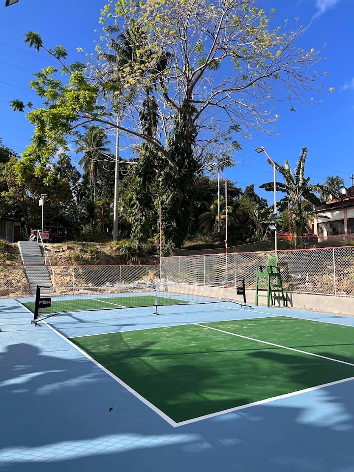 PICKLEFOX Pickleball Court pickleball court at Loon, 6327 Bohol | PickleBoard