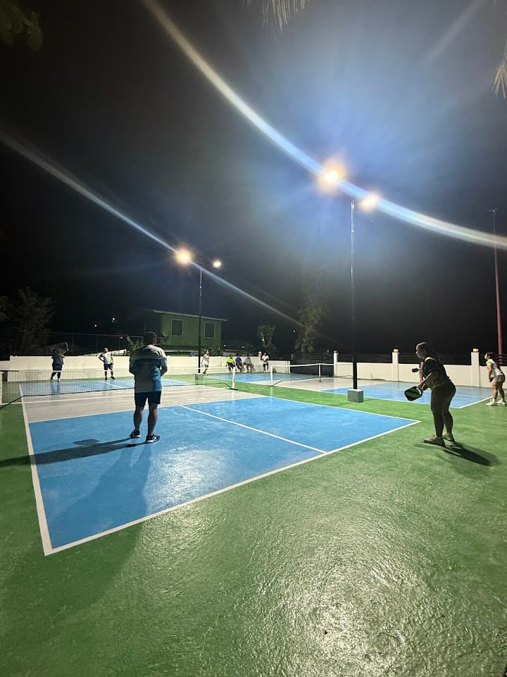 Waypoint Pickleball Court pickleball court at 492X+R4R, Lomonon, Palompon, Leyte | PickleBoard