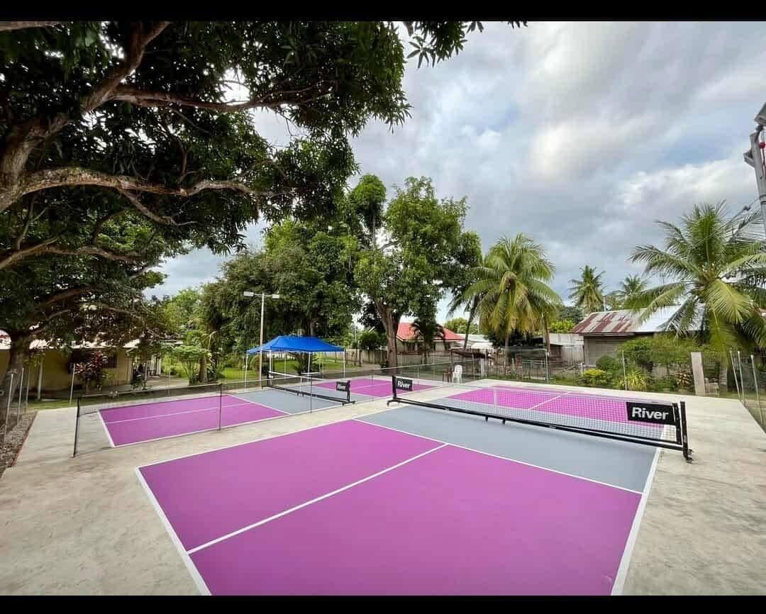 Wrongbox 6201 Pickleball pickleball court at 87RJ+WM5, Sibulan, Negros Oriental | PickleBoard