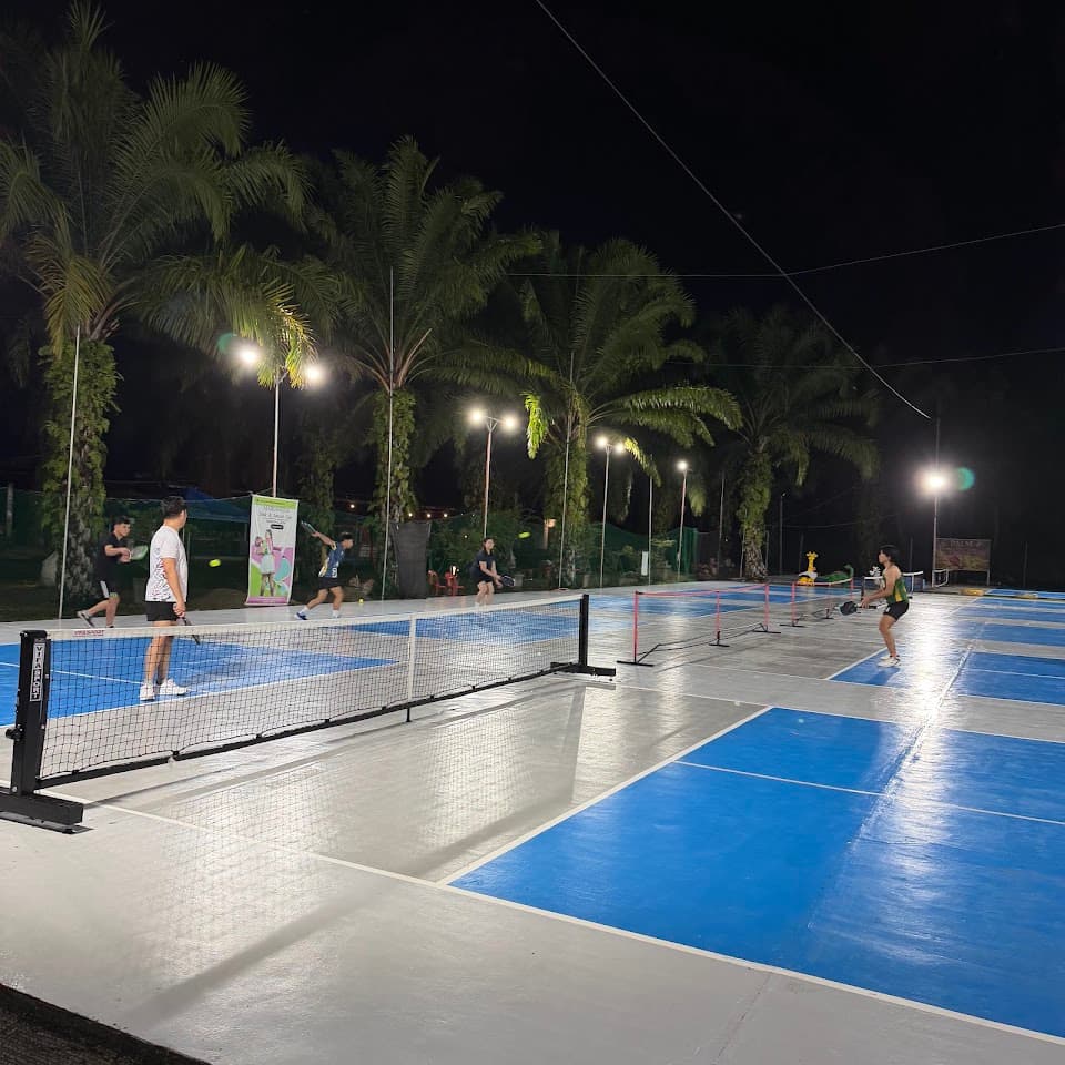 Palm Dink and Smash court pickleball court at GM8X+44, Norala, South Cotabato | PickleBoard